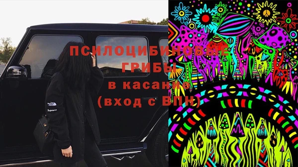 стаф Билибино