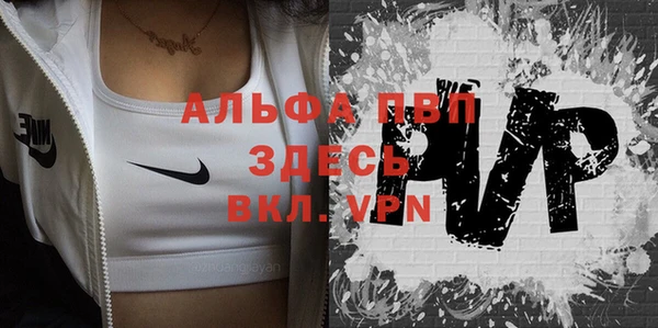 Альфа ПВП Няндома