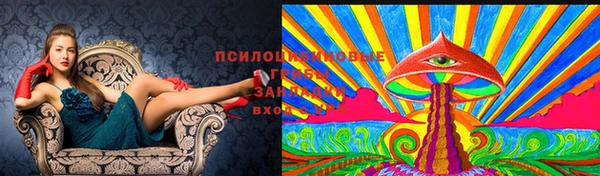 ешки Абдулино