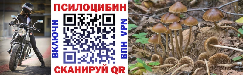 Галлюциногенные грибы Magic Shrooms  Магадан 
